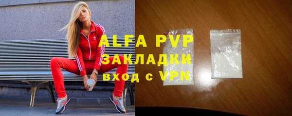 стаф Медногорск