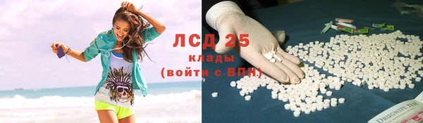 стаф Медногорск