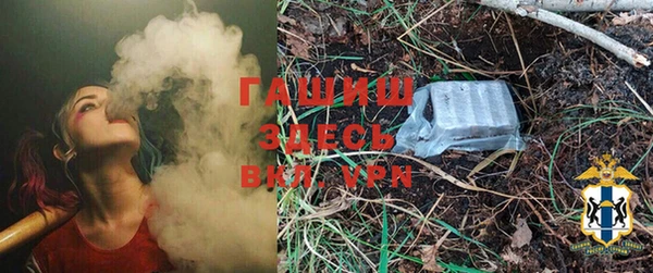 стаф Медногорск