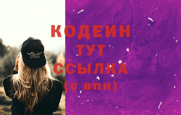 стаф Медногорск