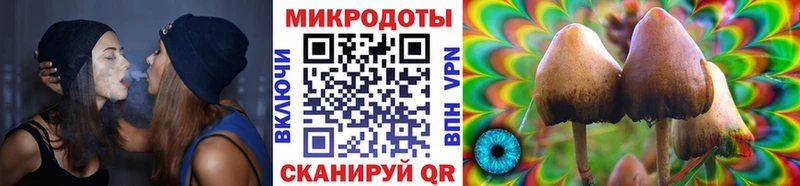 Псилоцибиновые грибы Psilocybine cubensis  Купить закладки  Райчихинск 